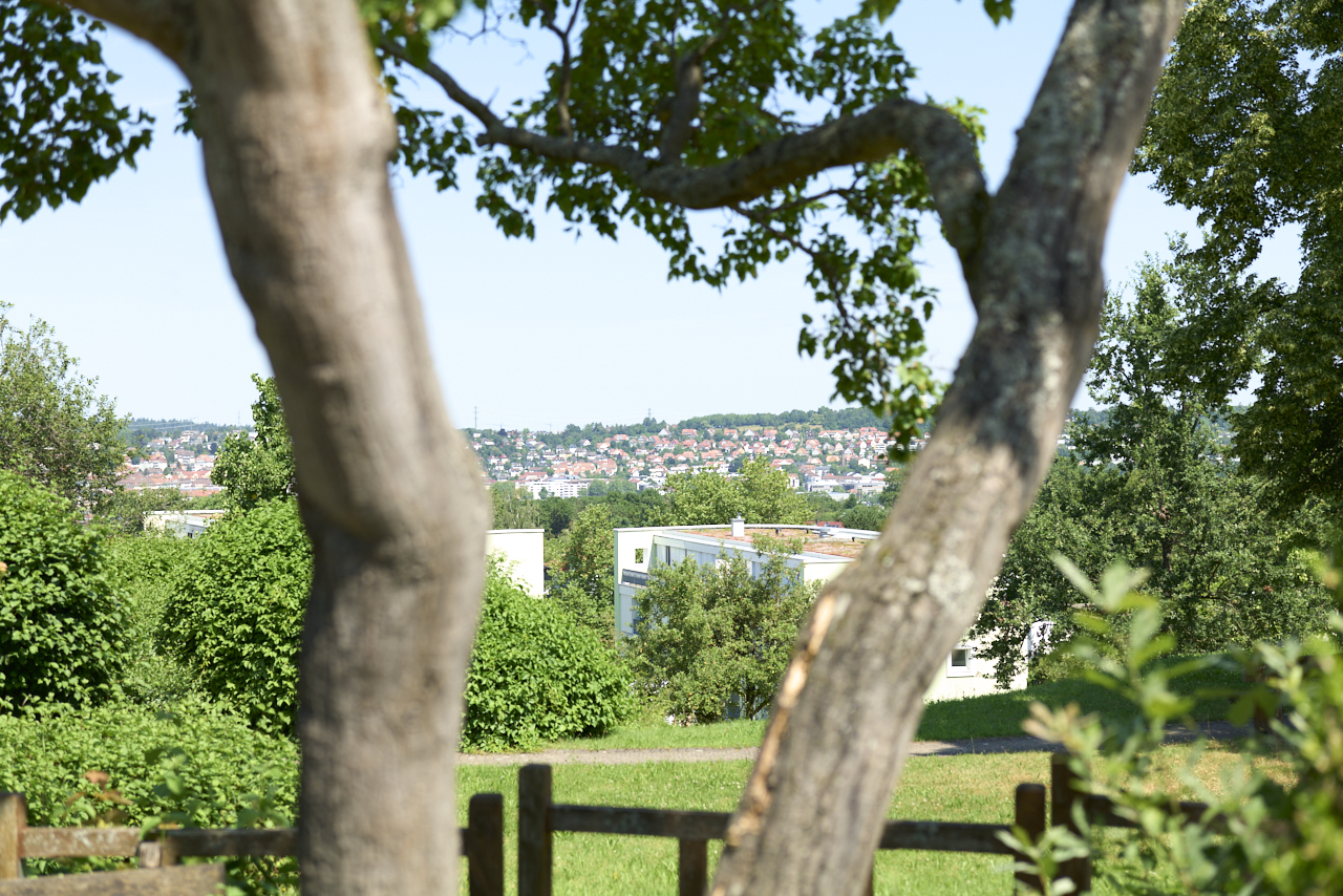 Blick über die Stadt aus dem Park