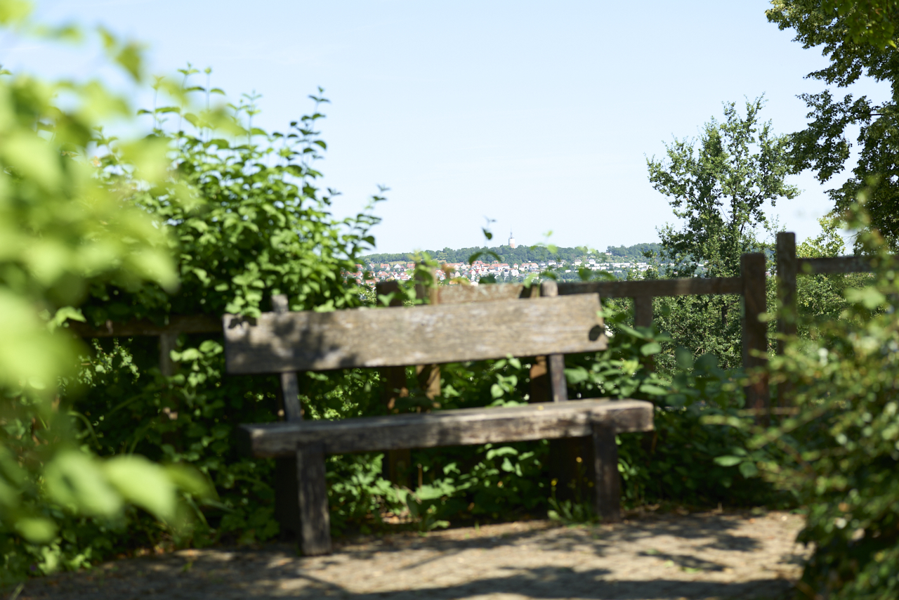 Sitzbank im Park
